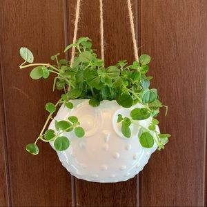 Hanging Owl Planter